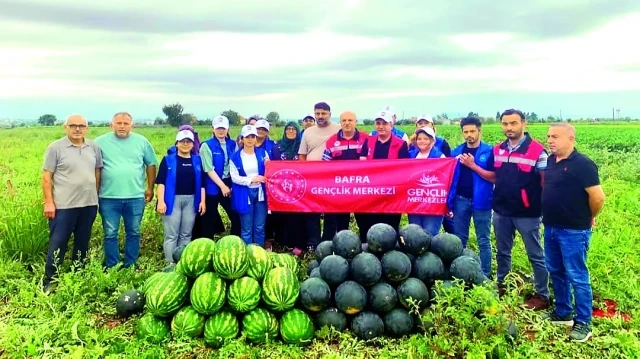 ‘Gönüllü Hasat Programı'