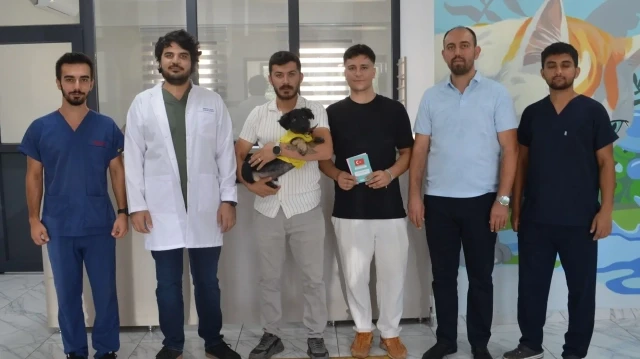 Kocaeli'nin Çayırova ilçesinde zifte saplanmış halde bulunan köpek yavrusu, Sokak Hayvanları Geçici Bakım Evi ve Rehabilitasyon Merkezi'ndeki tedavi sürecinin ardından bulan kişiler tarafından sahiplenildi.