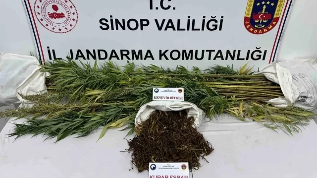Yapılan adli aramada 425 gram kubar esrar ve 56 kök kenevir bitkisi ele geçirildi.