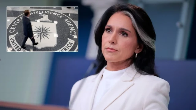 Tulsi Gabbard