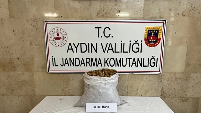 Çalınan 50 kilo incir.