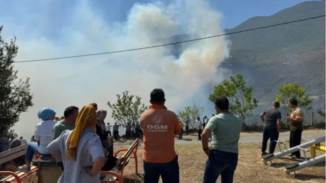 Bartın'da orman yangını