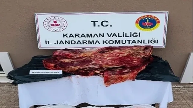 Mühürsüz etler