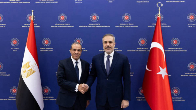 Turkish, Egyptian foreign ministers discuss Gaza aid, ceasefire efforts