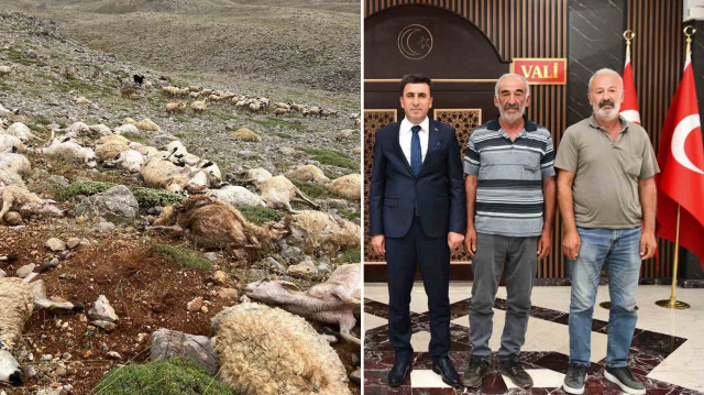 Hayvan sahiplerinin 2 milyon 601 bin TL tutarında zarar tespiti yapıldı.