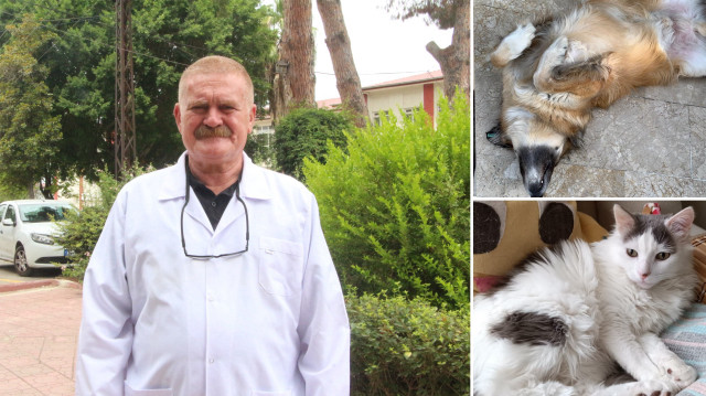 Nihat Köse, kedi ve köpek tüyünden insanın ölmeyeceğini, evde evcil hayvan besleyen kişilerin bu konuda endişe duymaması gerektiğini belirtt