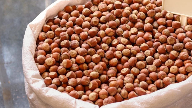 Fındık fiyatları ne zaman açıklanacak?