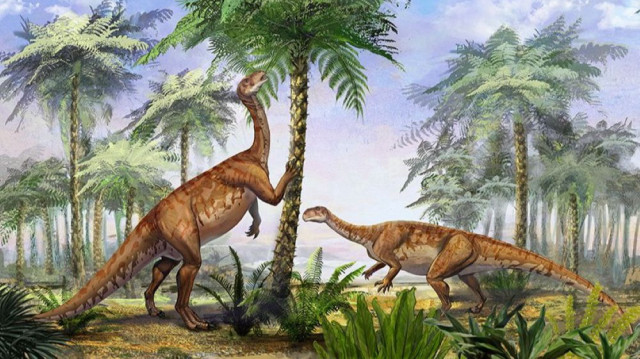 Une équipe de chercheurs chinois a mis au jour un fossile datant de près de 200 millions d’années dans la province du Yunnan, identifiant une nouvelle espèce de dinosaure baptisée Wudingloong.
