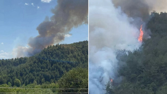 Karabük'teki orman yangını.