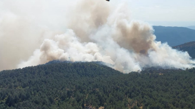 Sinop'ta çıkan orman yangınına müdahale ediliyor