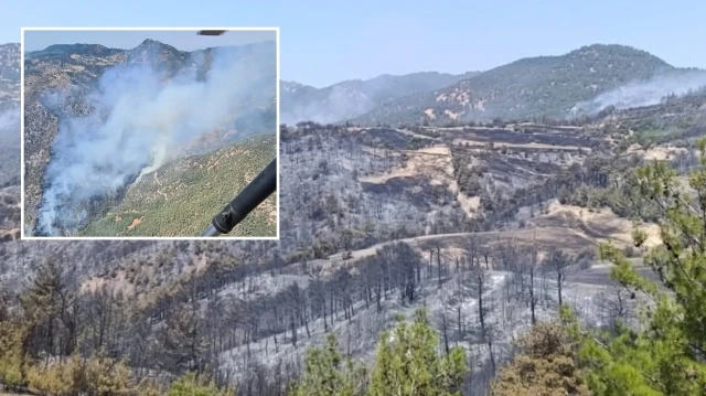 Bölgede soğutma çalışmaları sürerken, başlatılan soruşturma kapsamında jandarma ekipleri 3 kişiyi gözaltına aldı.