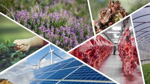 Girişimcilere IPARD III’ten 597,6 milyon lira hibe.