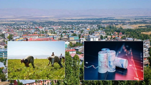 Muş