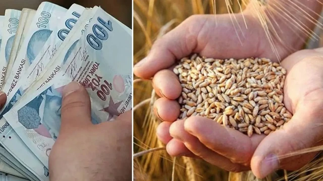 TMO, ürün bedeli olarak yaklaşık 3,6 milyar lirayı üreticilerin hesaplarına yatırdı