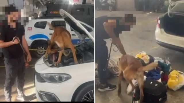 Narkotik köpekle yapılan aramada 455 adet sahte 100 dolarlık ve 6 adet sahte 50 dolarlık banknot ile 3 adet 50 ve 2 adet 20 avro bulundu.