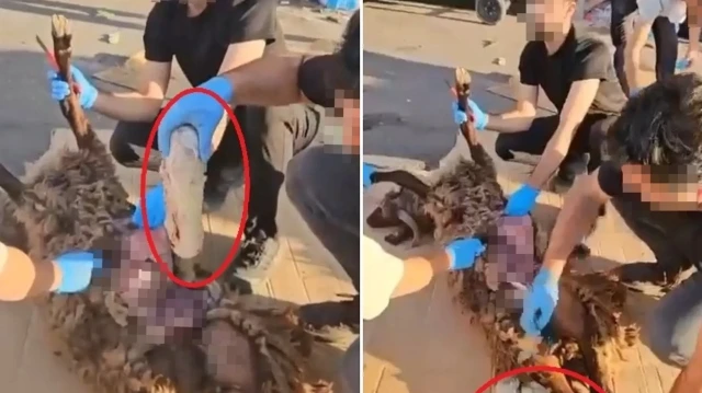 Ele geçirilen uyuşturucuya el konulurken, araç sürücüsü gözaltına alındı.
