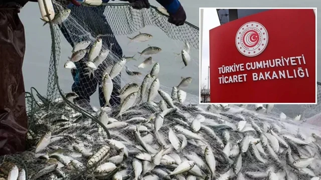 Türk su ürünlerinin Kanada'ya ihracatına yönelik kısıtlamalar kaldırıldı