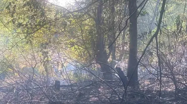 Yangının çıkış nedeniyle ilgili inceleme başlatıldı.