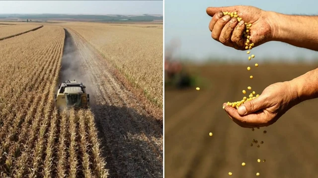 Tarım ÜFE ağustosta aylık bazda yüzde 3,45 azaldı