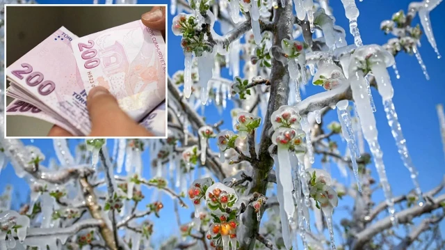 Tekirdağ'da zirai dondan etkilenen çiftçilere 46 milyon lira destek