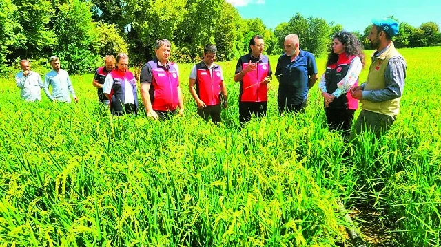 Çanakkale’de yürütülen projenin yüzde 75’i Tarım ve Orman Bakanlığı tarafından hibe destekle karşılandı.