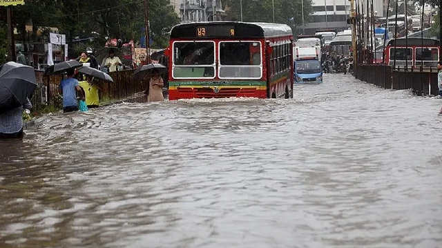 Floods batter India rice bowl farmers as monsoon deaths rise over 500 this year