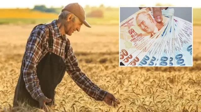 Destekleme tutarları belli oldu.