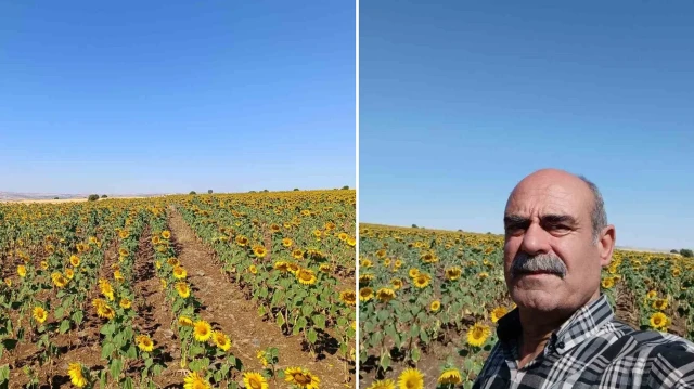 Özcan, devlet destekleriyle üretime yönelmenin önemine dikkat çekti.