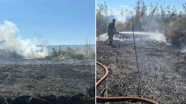 Yangının çıkış nedeni henüz belirlenemezken, olayla ilgili inceleme başlatıldı.