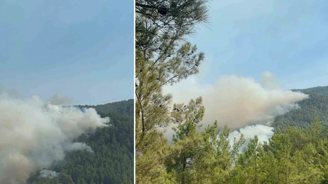 Alanya Belediye Başkan Yardımcısı Murat Koçak, Şıhlar Mahallesi ve etrafındaki yangınlarla ilgili son durumu paylaştı.