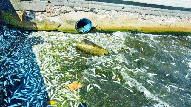 İzmir Körfezi.