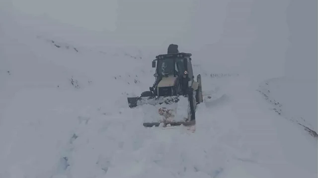 Trabzon'a yılın ilk karı yağdı mı?