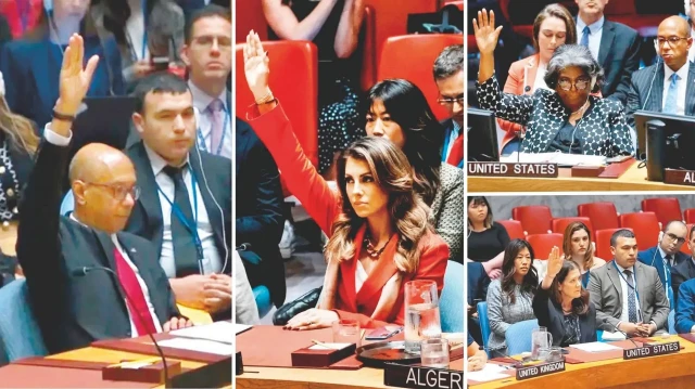 Robert Wood, Morgan Ortagus, Linda-Thomas Greenfield, Dorothy Shea.
