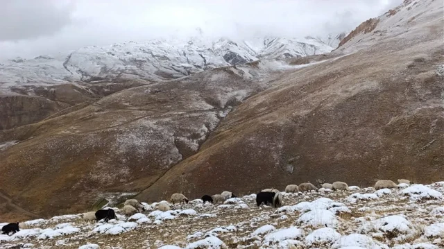 Van kar yağışı