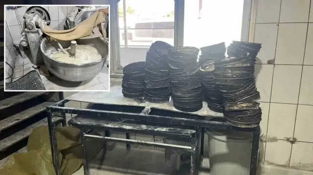 Edirne'de bir fırına yapılan denetimde fırının iş yeri açma ve çalışma ruhsatı bulunmadığı tespit edildi