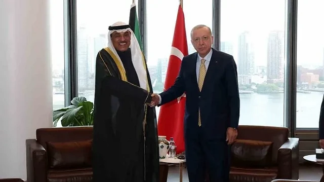 Turkish President Erdogan stresses significance of Muslim world taking united stance against Israel