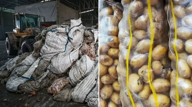 Antalya Kepez’de 1,5 ton patates imha edildi.
