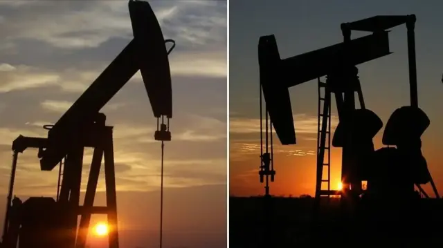 TPAO ve Petrogas'ın petrol arama ruhsatının süresi uzatıldı. 