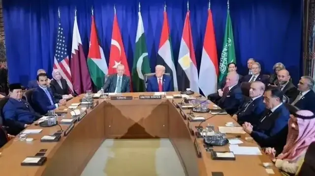 شہباز شریف نے اجلاس سے قبل قطر کے امیر، اردن کے بادشاہ عبداللہ دوم اور انڈونیشیا کے صدر پروبوا سبیانتو سے بھی ملاقات کی تھی۔