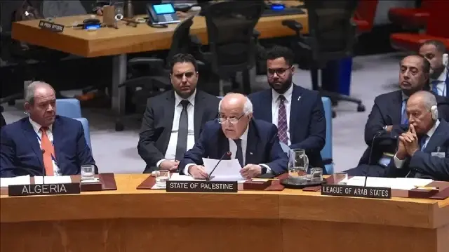دعوات عربية بمجلس الأمن لوقف "فوري" لحرب الإبادة في غزة