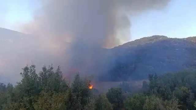 Orman yangınına müdahale ediliyor