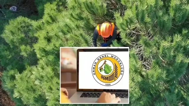 Orman Genel Müdürlüğü’nden yeni personel duyurusu.