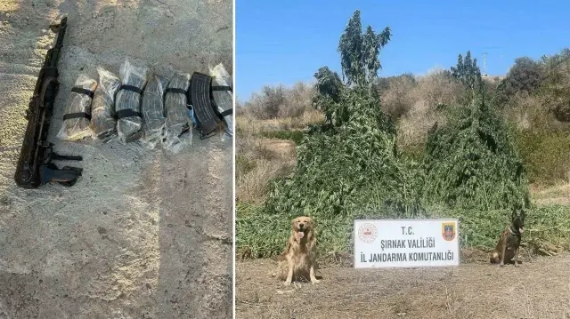 Piyasa değeri yaklaşık 1.5 milyar TL değerinde uyuşturucu ele geçirildi.