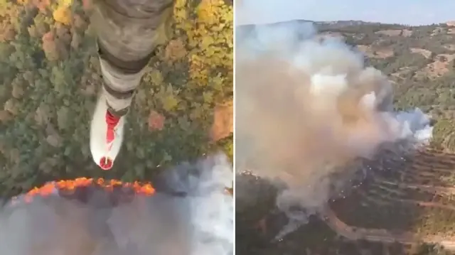 Balıkesir'de orman yangını