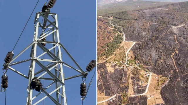 Karabük Kahyalar köyü Kabaoğlu Mahallesi'nde orman yangını