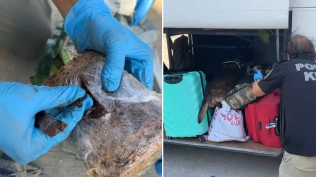 Kocaeli'de 12 paket halinde 6 kilogram 765 gram eroin ele geçirildi