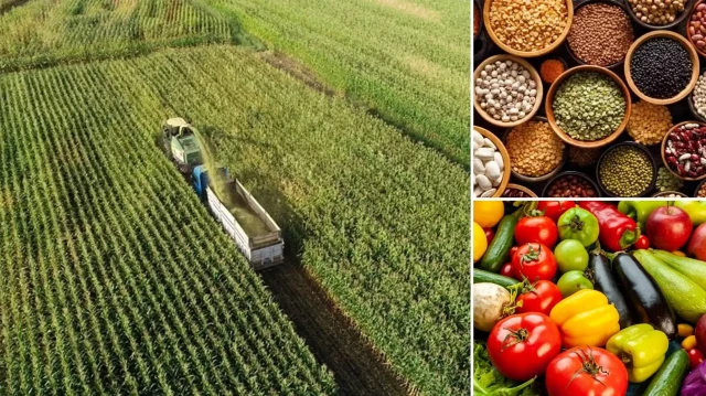 Tarım, gıda ve içecek sektöründen 7 ayda 15,54 milyar dolarlık ihracat