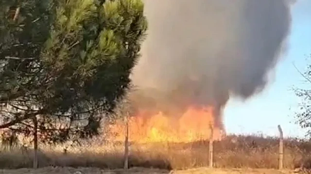 Tekirda'da korkutan yangın