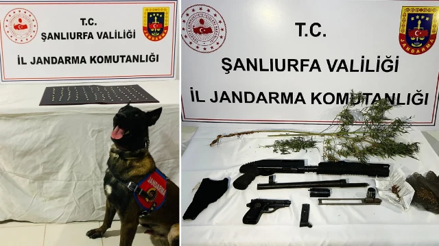 Operasyonda, 370 kök Hint keneviri, 865 gram esrar, 100 uyuşturucu hap, 108 gram kenevir tohumu, 11 gram uyuşturucu, 2 uyuşturucu kullanma aparatı, tabanca, tüfek ve şarjör ele geçirildi.