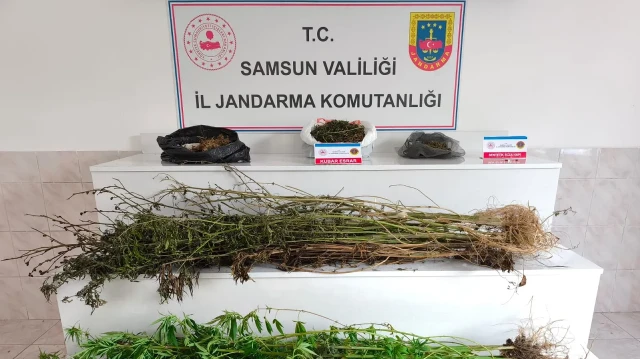 Adreste yapılan aramada, ağaca kurutulmaya bırakılmış 2 kilo 355 gram kubar esrar, 5 kök kenevir bitkisi ile 2 sentetik ecza hapı ele geçirildi.